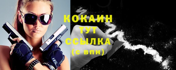 стафф Коряжма