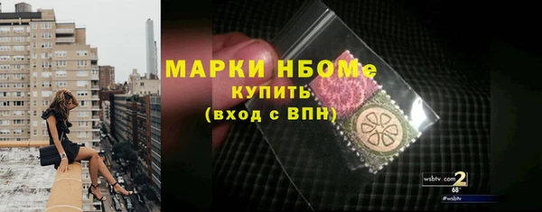 стафф Коряжма