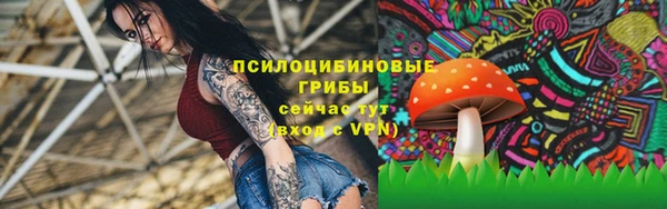 PSILOCYBIN Абаза