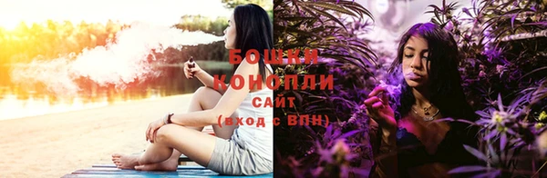 стафф Коряжма