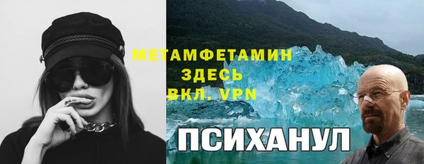PSILOCYBIN Абаза