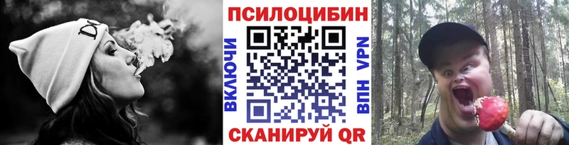 Галлюциногенные грибы ЛСД  где можно купить   Тбилисская 